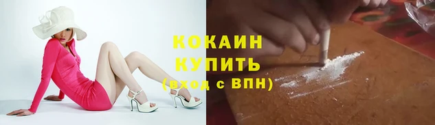 ECSTASY Вяземский